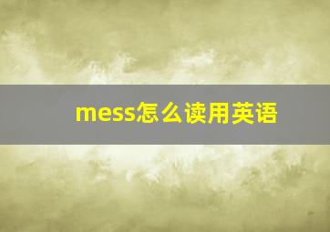 mess怎么读用英语