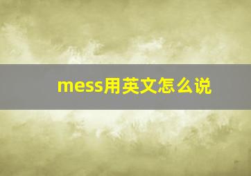 mess用英文怎么说