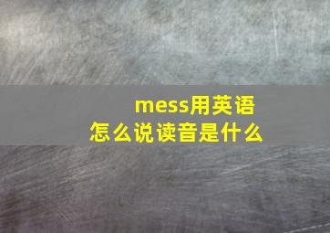 mess用英语怎么说读音是什么