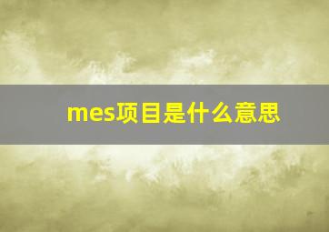 mes项目是什么意思