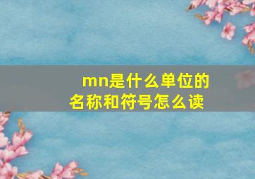 mn是什么单位的名称和符号怎么读