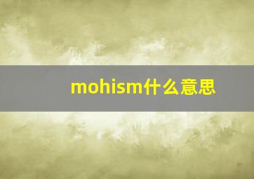 mohism什么意思