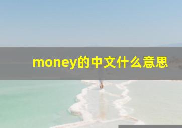 money的中文什么意思