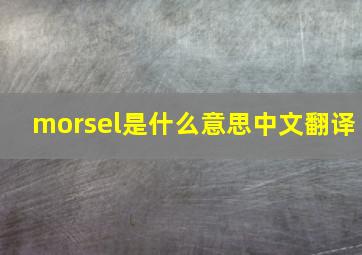 morsel是什么意思中文翻译