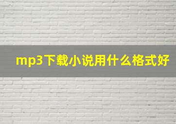 mp3下载小说用什么格式好