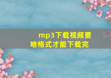 mp3下载视频要啥格式才能下载完