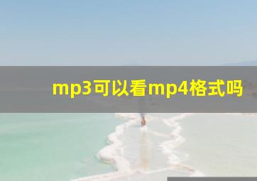 mp3可以看mp4格式吗