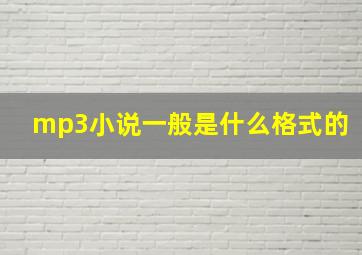 mp3小说一般是什么格式的