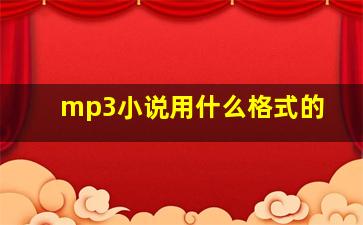 mp3小说用什么格式的