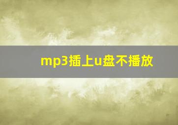 mp3插上u盘不播放