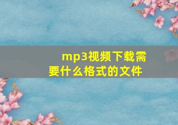 mp3视频下载需要什么格式的文件