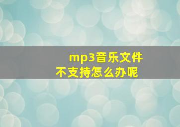 mp3音乐文件不支持怎么办呢