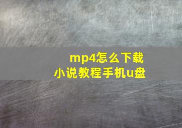 mp4怎么下载小说教程手机u盘