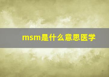 msm是什么意思医学