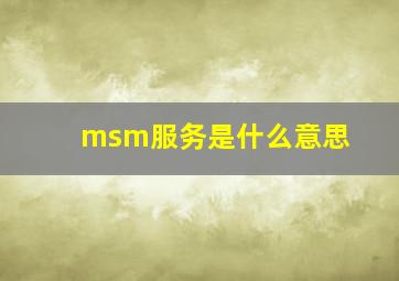 msm服务是什么意思