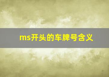 ms开头的车牌号含义