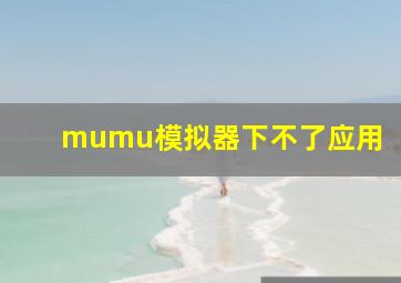 mumu模拟器下不了应用