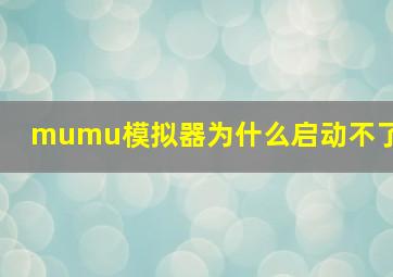 mumu模拟器为什么启动不了