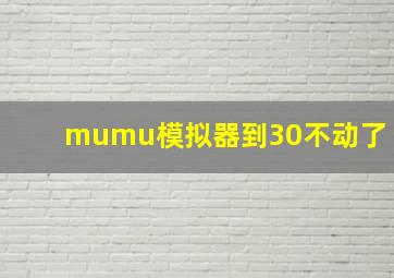 mumu模拟器到30不动了