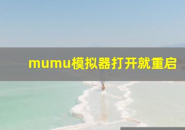 mumu模拟器打开就重启