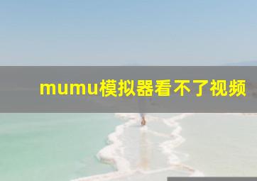 mumu模拟器看不了视频