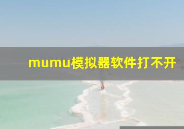 mumu模拟器软件打不开