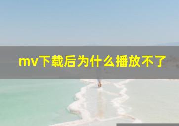 mv下载后为什么播放不了