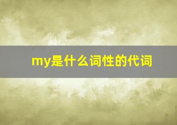 my是什么词性的代词