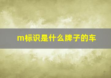 m标识是什么牌子的车