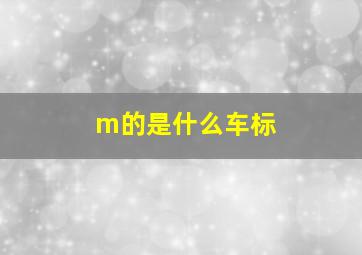 m的是什么车标