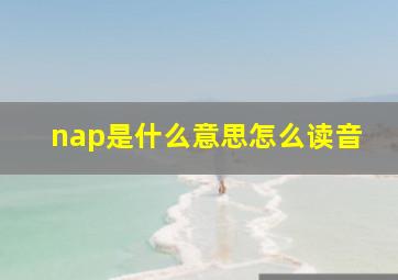 nap是什么意思怎么读音