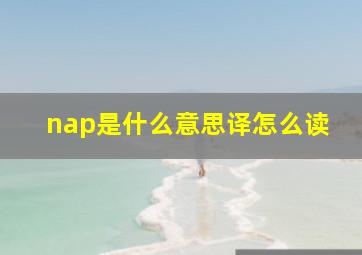 nap是什么意思译怎么读