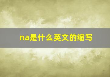 na是什么英文的缩写