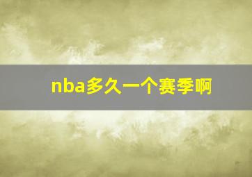 nba多久一个赛季啊