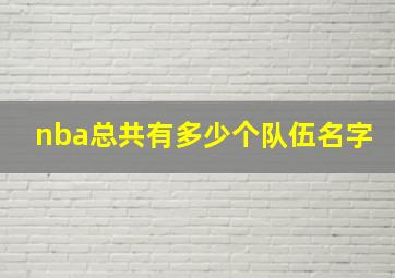 nba总共有多少个队伍名字