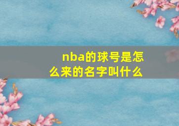 nba的球号是怎么来的名字叫什么