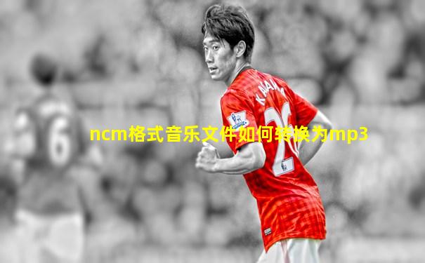 ncm格式音乐文件如何转换为mp3