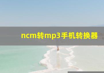 ncm转mp3手机转换器