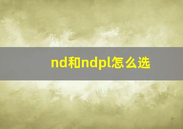 nd和ndpl怎么选