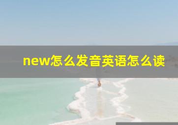 new怎么发音英语怎么读