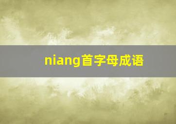 niang首字母成语