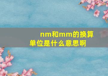 nm和mm的换算单位是什么意思啊