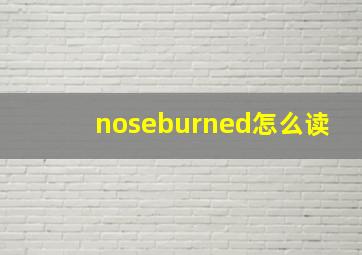 noseburned怎么读