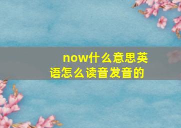 now什么意思英语怎么读音发音的