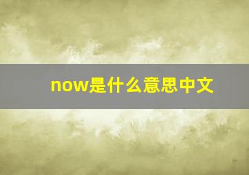 now是什么意思中文