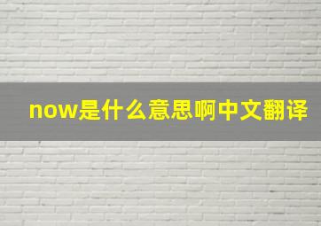 now是什么意思啊中文翻译