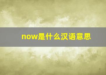 now是什么汉语意思