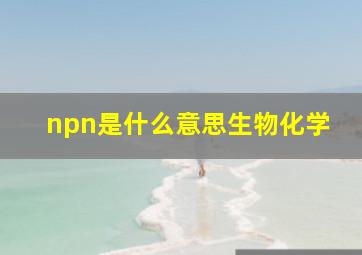 npn是什么意思生物化学