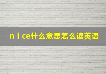 nⅰce什么意思怎么读英语