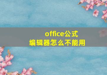 office公式编辑器怎么不能用